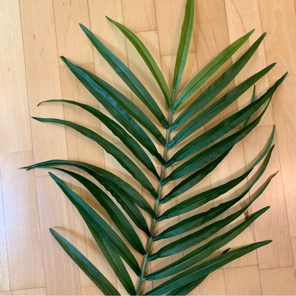 SOLD Large/ Tall Faux Palm Leaf - Picture 6 of 10